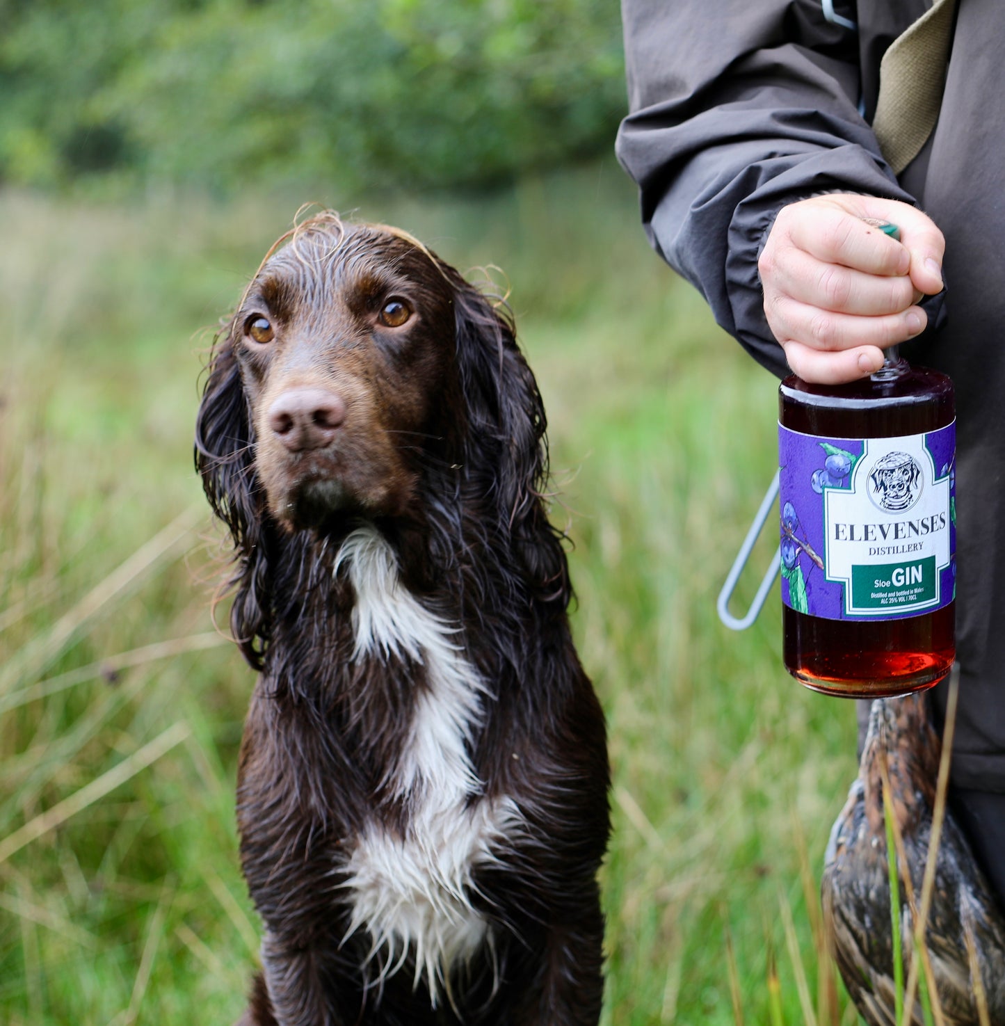 Elevenses Sloe Gin - Handcrafted Welsh Berry Infusion