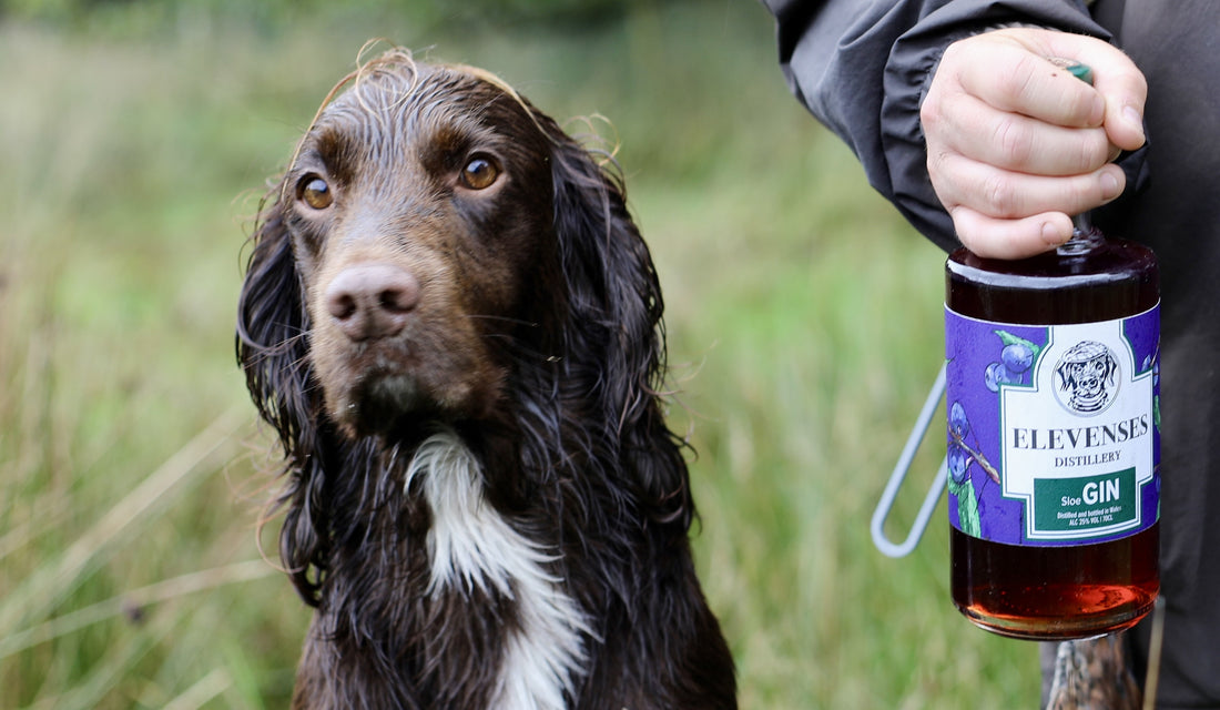 The Shooting Industry in Wales: A Tradition That Inspires Elevenses