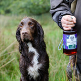 Elevenses Sloe Gin - Handcrafted Welsh Berry Infusion