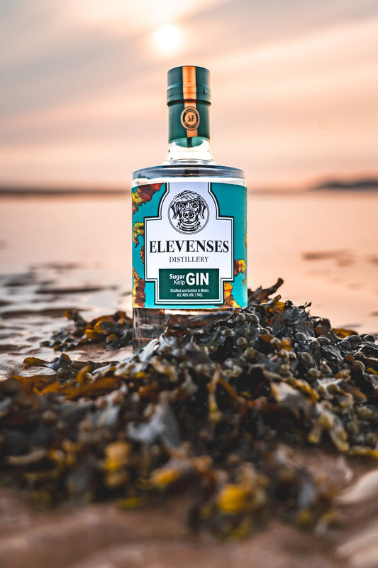 Elevenses Sugar Kelp Gin - A Coastal Welsh Masterpiece