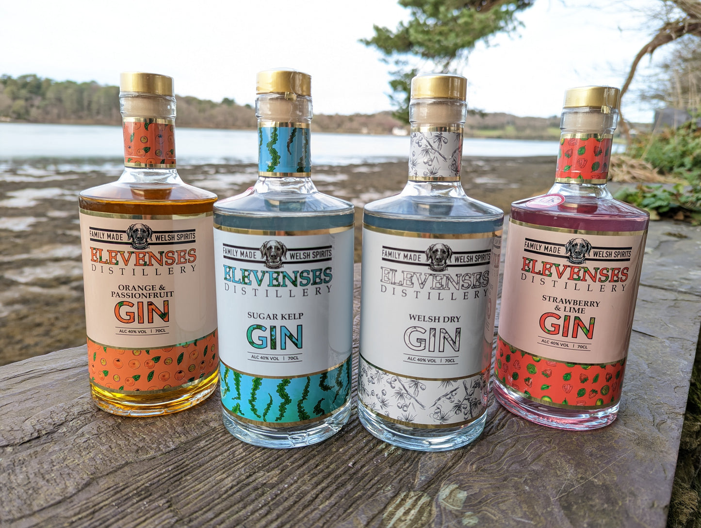 TRY ALL FOUR - CRAFT GIN - WELSH GIN